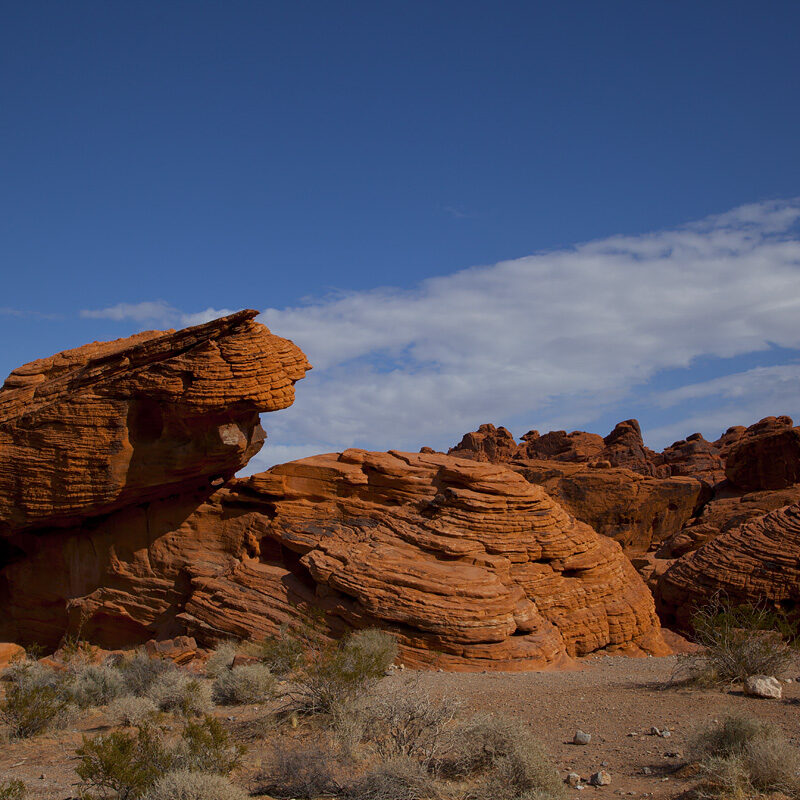 Beehives at Valley of Fire
